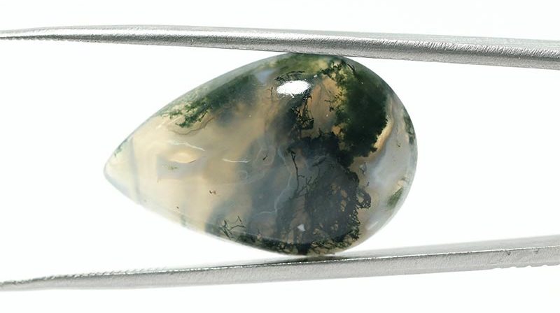 Moss Agate 19.15 Ct.