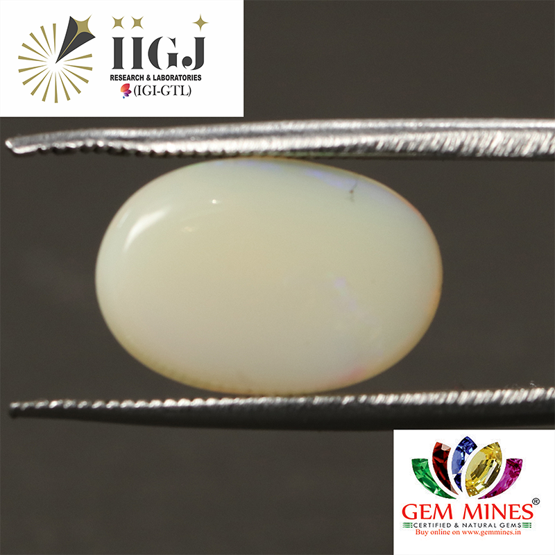 OPL6950 2 OPAL 4 Ct.