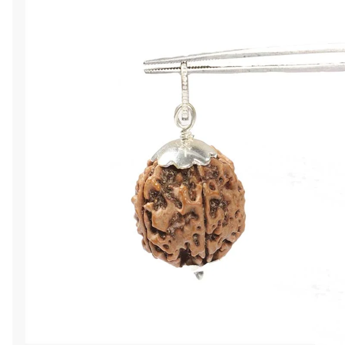RDRFIVE16 1 1 Natural 5 Mukhi Rudraksha / Pendant