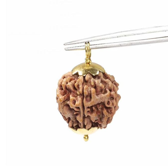 RDRFIVE17 1 1 Natural 5 Mukhi Rudraksha / Pendant