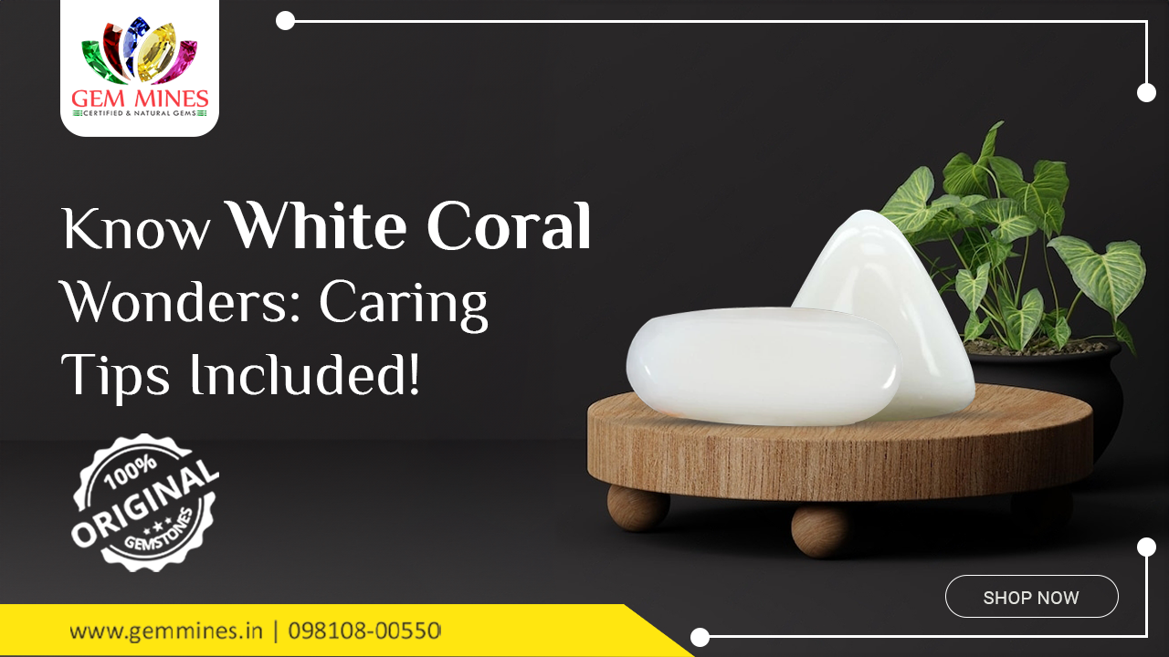 Know White Coral Wonders: Caring Tips Included!