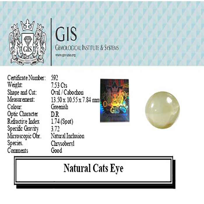 Cats' Eye 7.53 Ct.