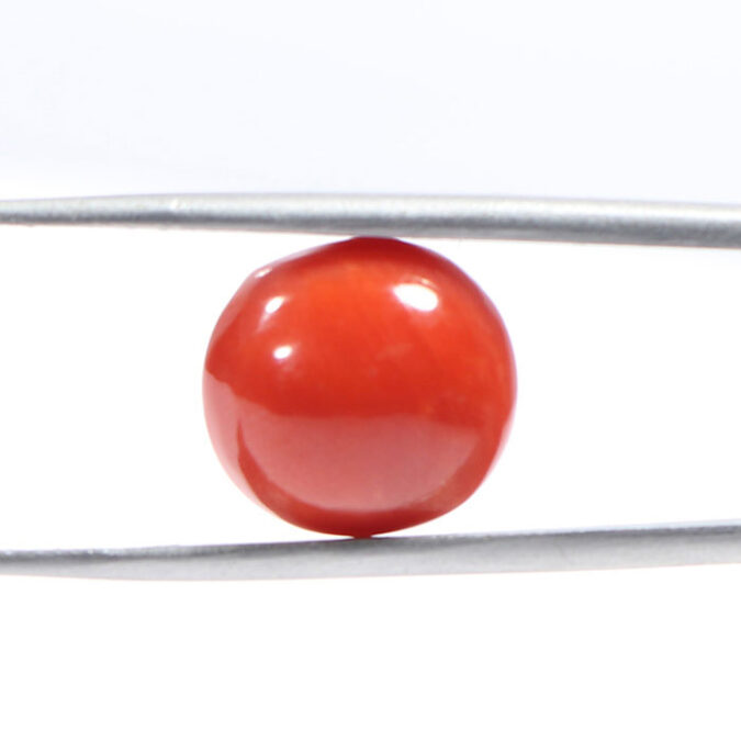 CRL4948 1 CORAL 5.72 Ct.