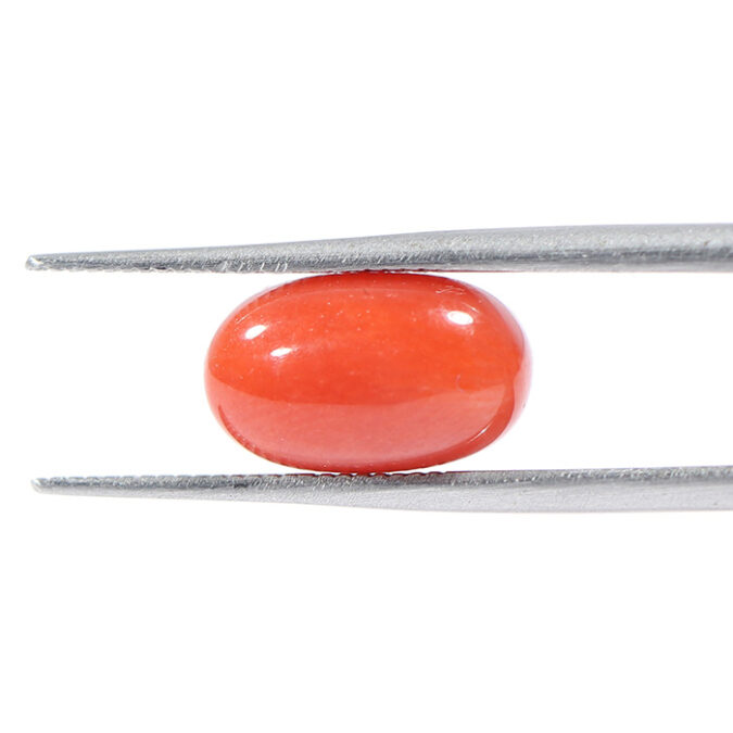 CORAL 3.49 Ct.