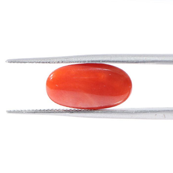 CORAL 3.64 Ct.
