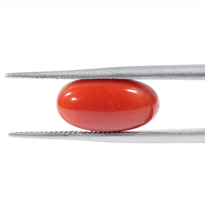 CORAL 3.78 Ct.