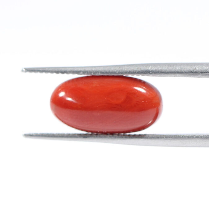 CORAL 3.86 Ct.