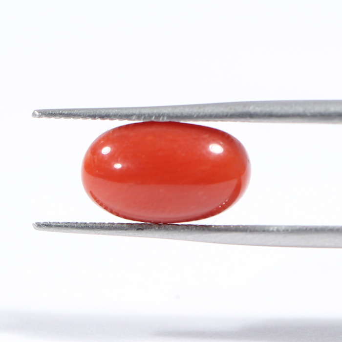 CORAL 3.04 Ct.