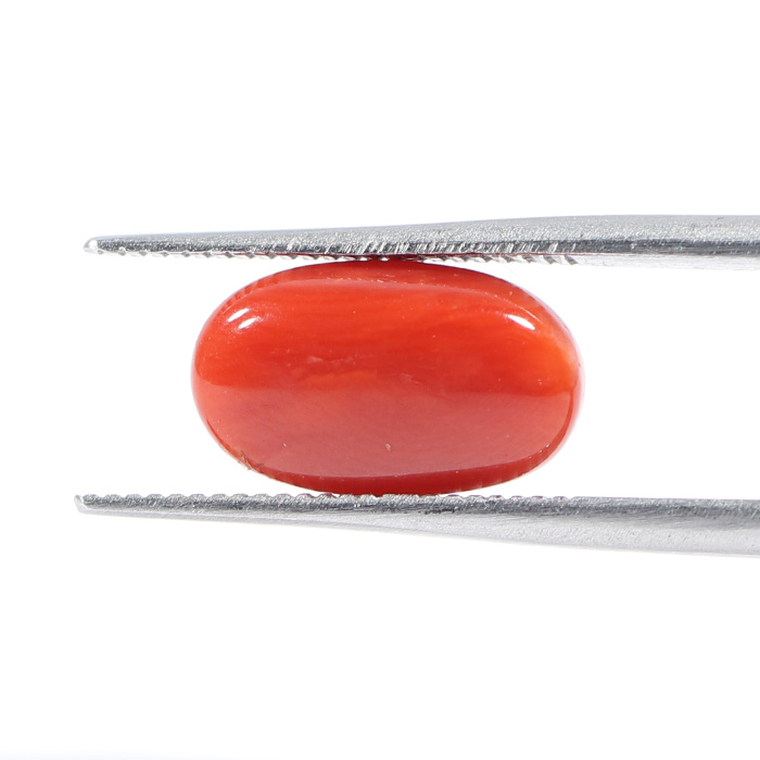 CORAL 3.04 Ct.