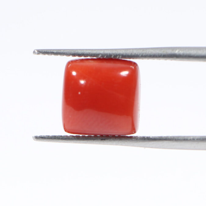 CORAL 3.28 Ct.