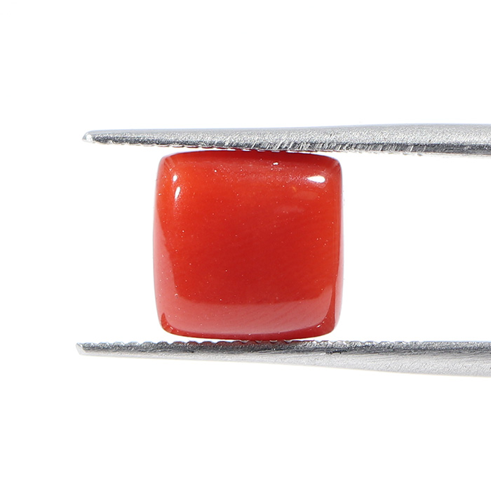 CORAL 3.28 Ct.