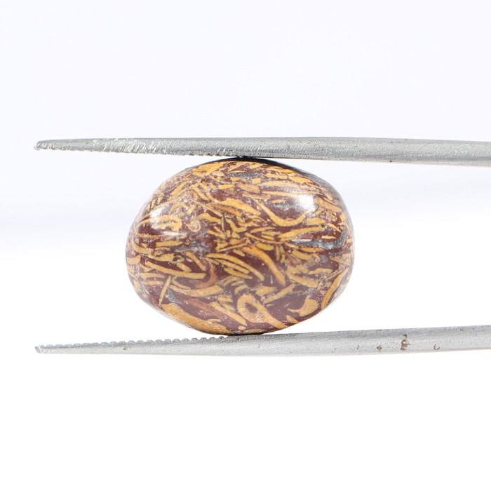 JASPER 11.41 Ct.