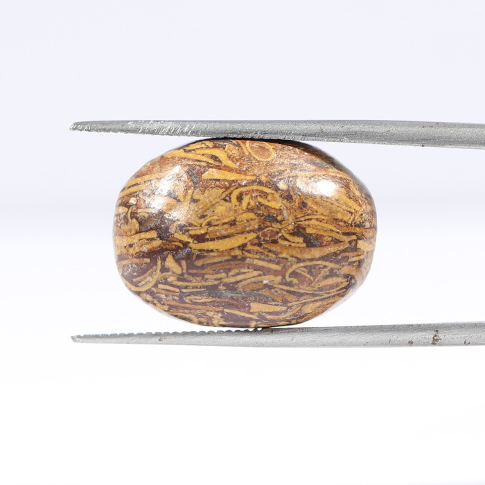 JASPER 15.65 Ct.