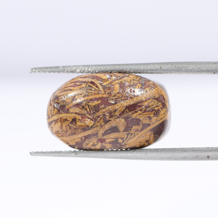 JASPER 12.06 Ct.