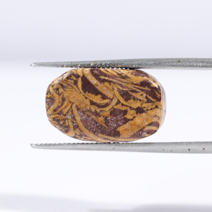 JASPER 12.06 Ct.