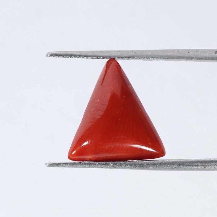 CRL5422 2 1 CORAL 4.85 Ct.