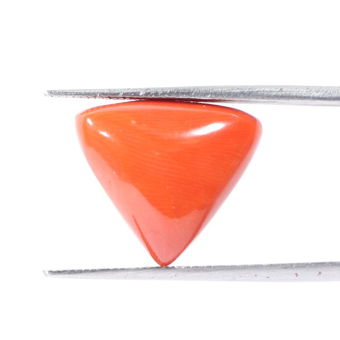 CRL5437 2 1 CORAL 9.87 Ct.