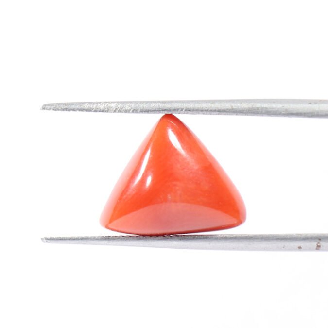 CRL5441 1 1 CORAL 6.2 Ct.