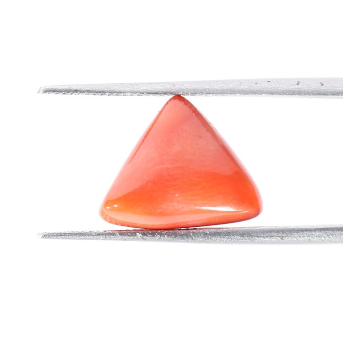 CRL5441 2 1 CORAL 6.2 Ct.