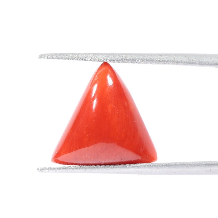 CRL5456 1 1 CORAL 5.98 Ct.