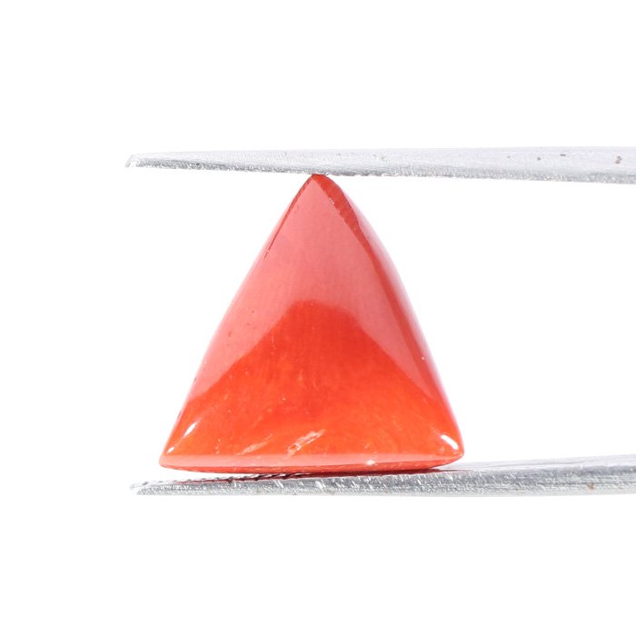 CRL5456 2 1 CORAL 5.98 Ct.