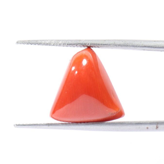 CRL5458 1 1 CORAL 8.38 Ct.