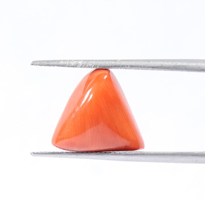 CRL5461 1 1 CORAL 6.27 Ct.