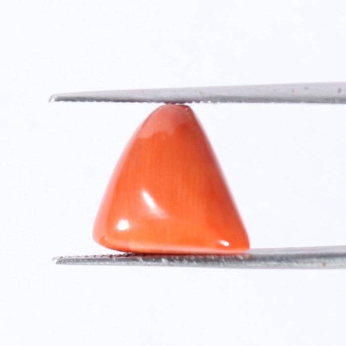 CRL5461 2 1 CORAL 6.27 Ct.