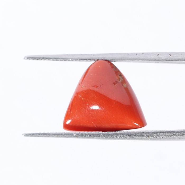 CRL5466 2 1 CORAL 6.36 Ct.