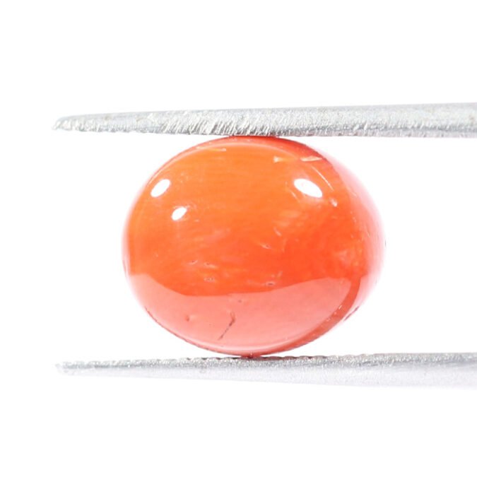 CRL5486 1 1 CORAL 4.26 Ct.