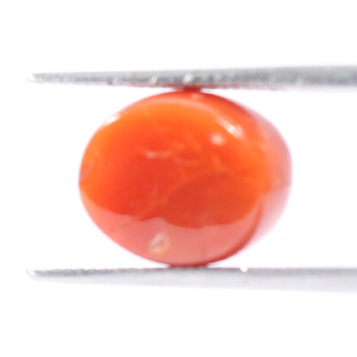 CRL5486 2 1 CORAL 4.26 Ct.