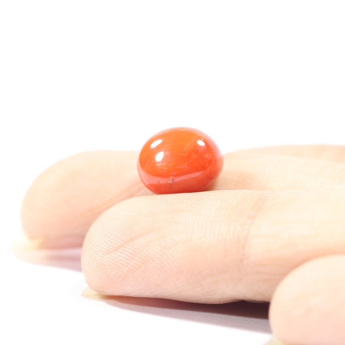 CRL5486 3 1 CORAL 4.26 Ct.
