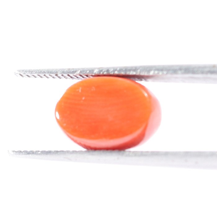 CRL5504 2 1 CORAL 3.1 Ct.