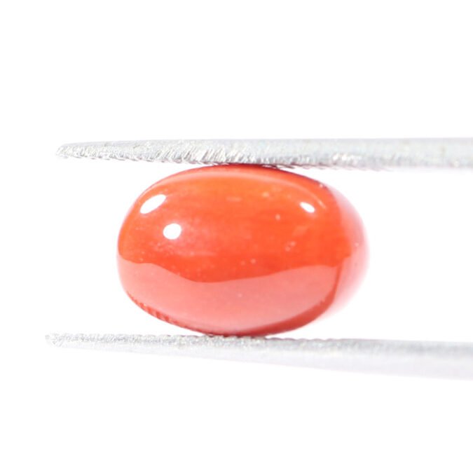 CRL5505 1 1 CORAL 2.92 Ct.
