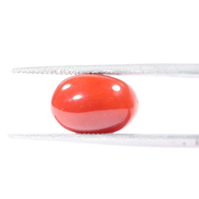 CRL5506 1 1 CORAL 2.92 Ct.