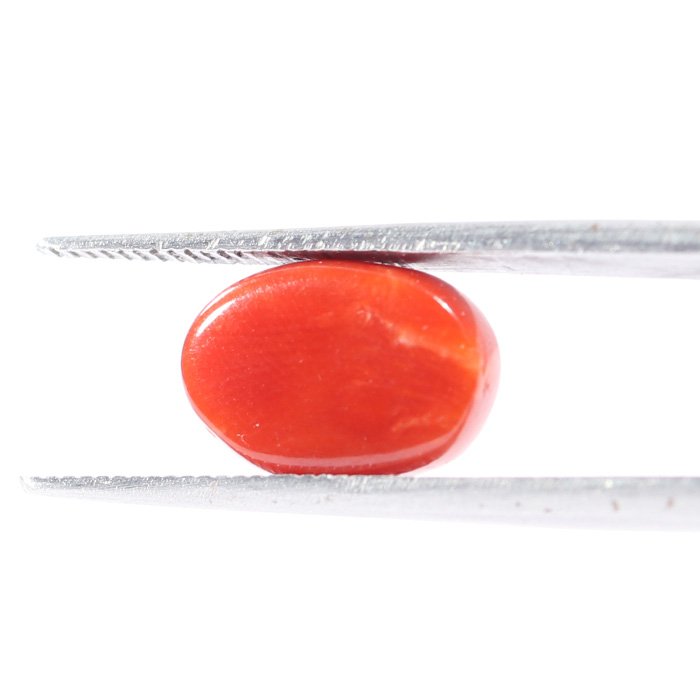 CRL5506 2 1 CORAL 2.92 Ct.