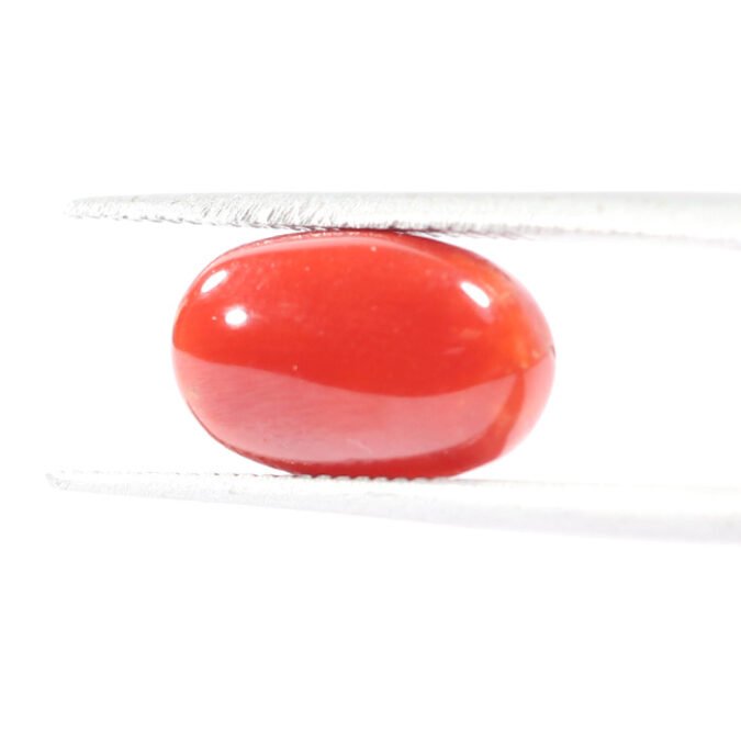 CRL5507 1 1 CORAL 3.19 Ct.