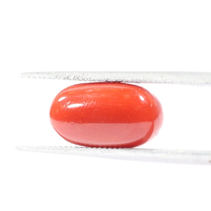CRL5508 1 1 CORAL 3.24 Ct.