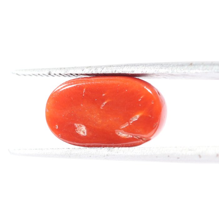 CRL5508 2 1 CORAL 3.24 Ct.