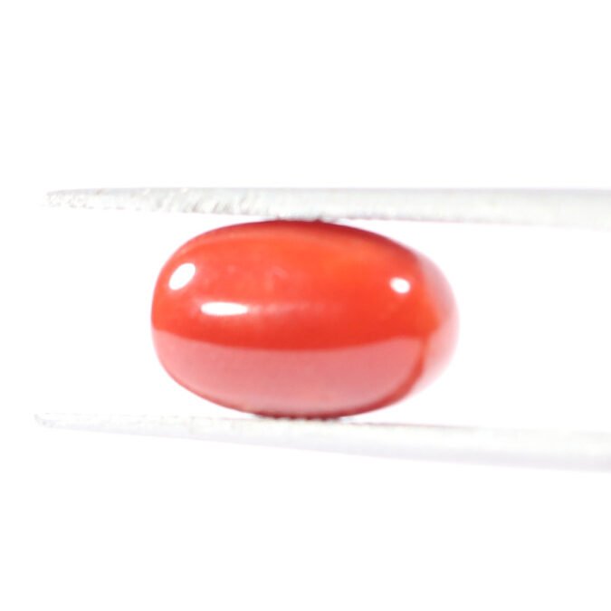 CRL5509 1 1 CORAL 3.03 Ct.