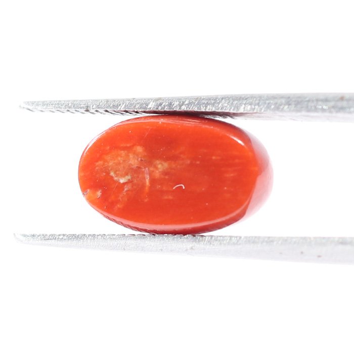 CRL5509 2 1 CORAL 3.03 Ct.