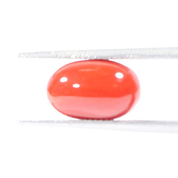 CRL5511 1 1 CORAL 2.87 Ct.