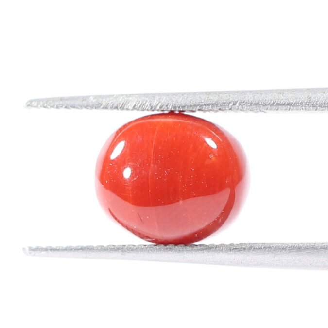 CRL5512 1 1 CORAL 3.18 Ct.