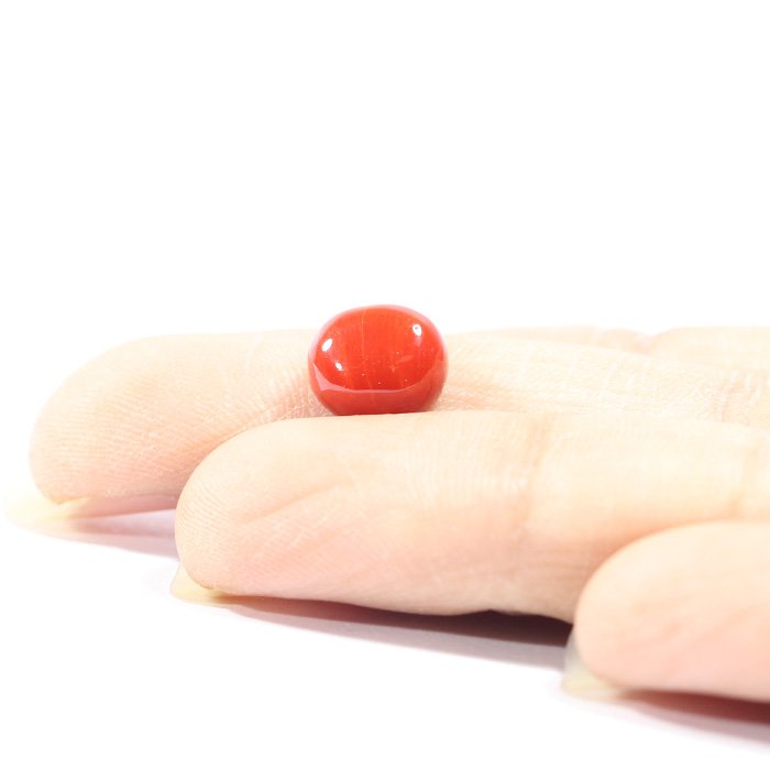 CRL5512 3 1 CORAL 3.18 Ct.