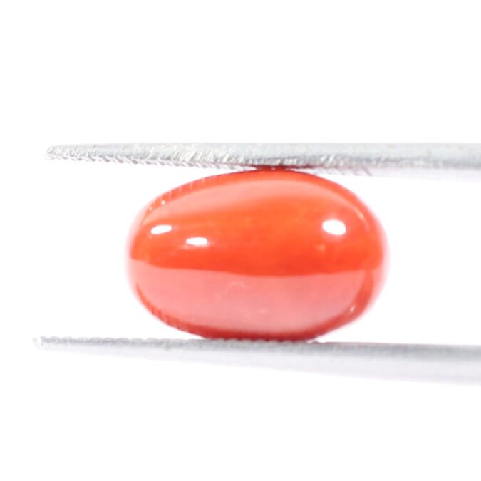 CRL5513 1 1 CORAL 3.62 Ct.