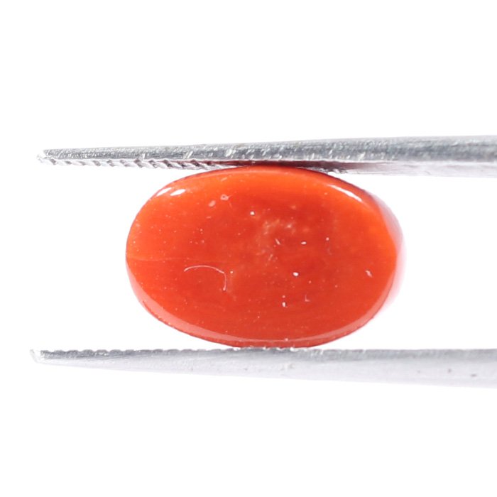 CRL5513 2 1 CORAL 3.62 Ct.