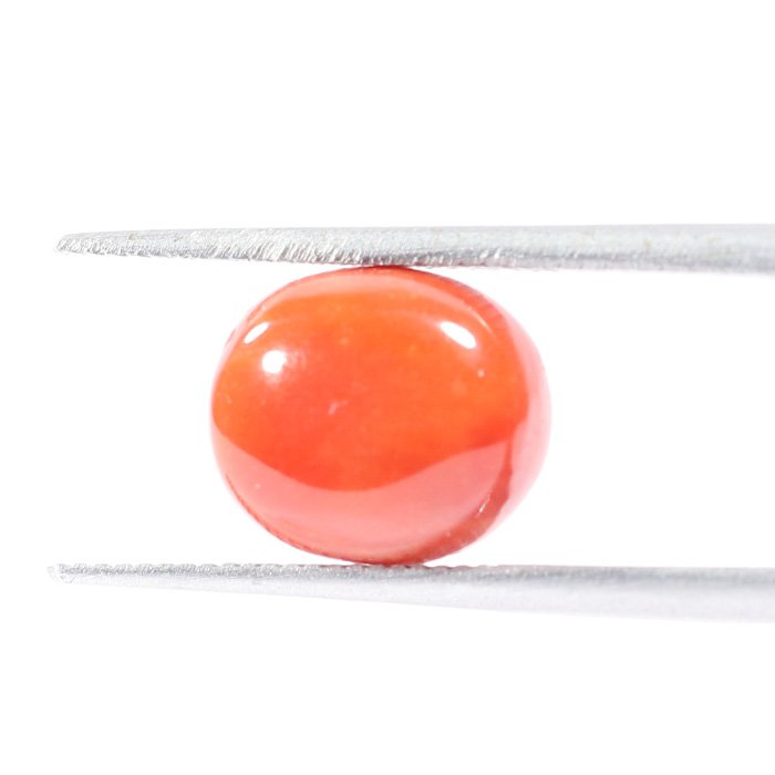 CRL5514 1 1 CORAL 3.34 Ct.