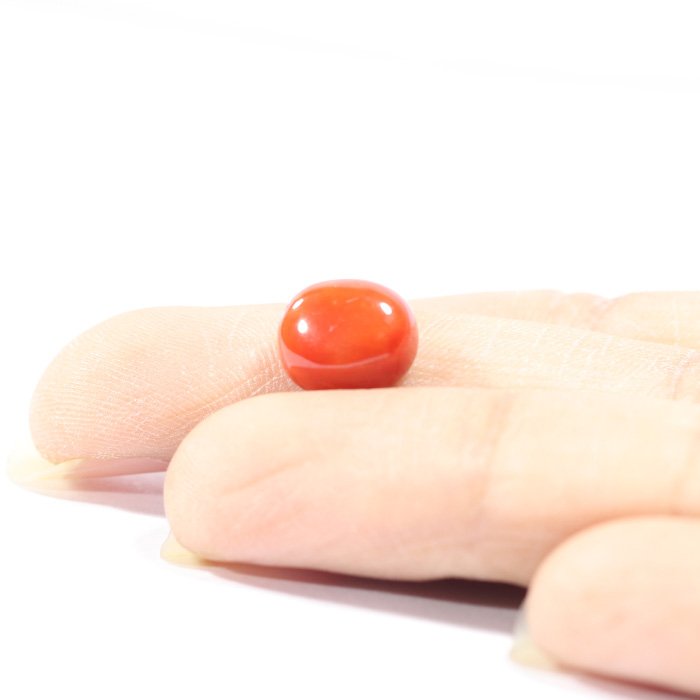 CRL5514 3 1 CORAL 3.34 Ct.