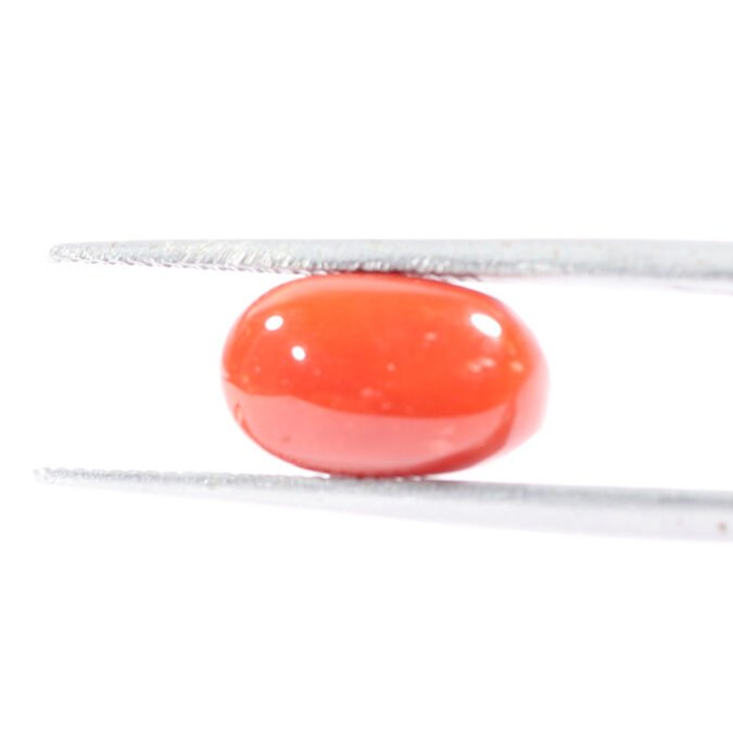 CRL5515 1 1 CORAL 2.99 Ct.
