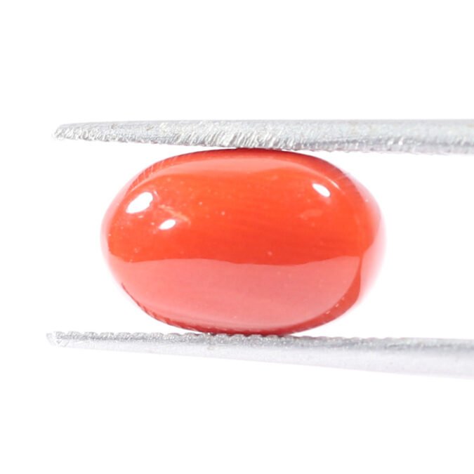 CRL5516 1 1 CORAL 3.88 Ct.